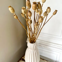 Naturally Dried Poppy Pods / Papaver - natural brown