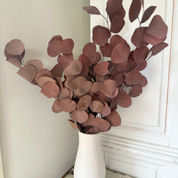 Preserved Eucalyptus / Gum