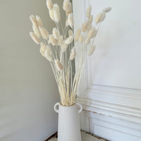 Dried Phalaris
