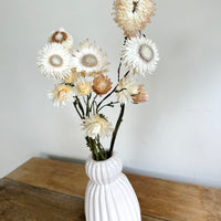 Naturally Dried Strawflower Daisy flower bunch - Helichrysum / Everlasting / Paper Daisy - stems / heads