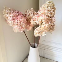 Antique Blush Hydrangea Bouquet (M)