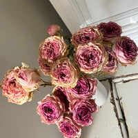 自然干燥玫瑰