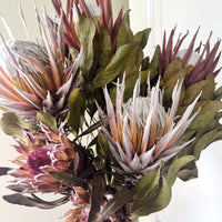 Naturally Dried Banksia & King Protea & Protea - Australian Native