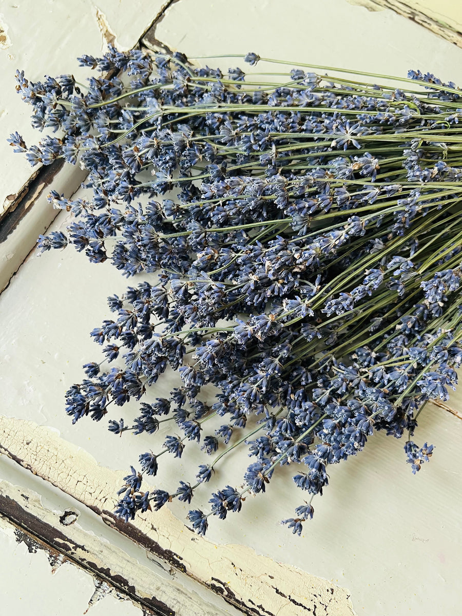 Naturally Dried Lavender bunch - blue purple