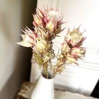 Naturally Dried Blushing Bride - natural pink
