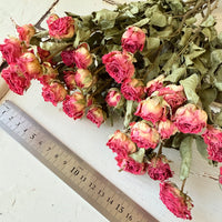 自然干燥玫瑰