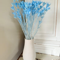 Naturally Dried / Coloured Nigella Flower
