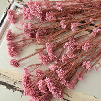 保鲜米花