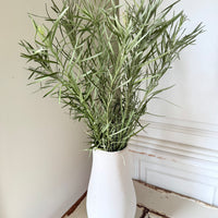 Naturally Dried Emu Grass - natural dusty green