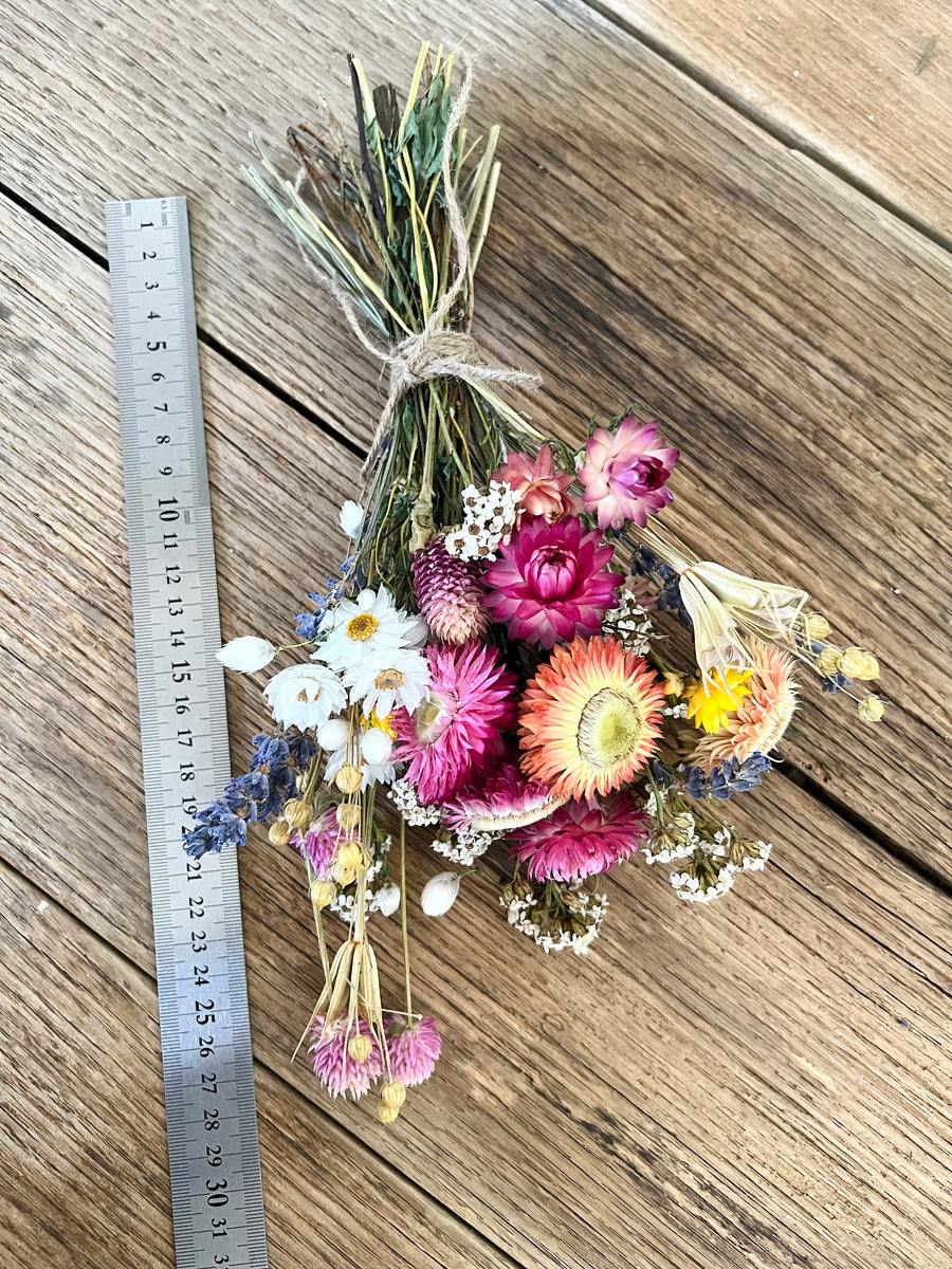 Nature's Delight Everlasting Bouquet [Mini/SM/M] colourful