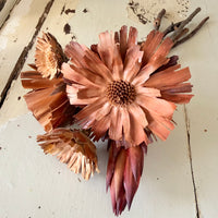 Dried Protea Repens