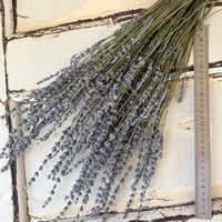 Naturally Dried Lavender bunch - blue purple