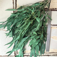 Preserved Eucalyptus / Gum