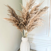 Naturally Dried Reed Canary Grass / Mischanthus Grass / Mini Pampas Grass
