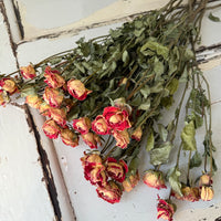 Naturally Dried Spray Rose