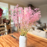 Preserved Delicate Baby's Breath - Gypsophila