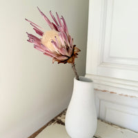 Naturally Dried Banksia & King Protea & Protea - Australian Native