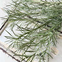 Naturally Dried Emu Grass - natural dusty green