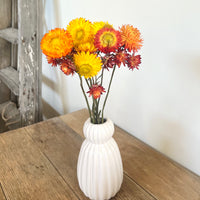Naturally Dried Strawflower Daisy flower bunch - Helichrysum / Everlasting / Paper Daisy - stems / heads