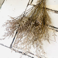 Naturally Dried Strawflower Daisy flower bunch - Helichrysum / Everlasting / Paper Daisy - stems / heads