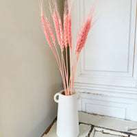 Dried Wheat