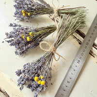 Tiny Little Lavender Posy