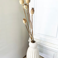 Naturally Dried Poppy Pods / Papaver - natural brown