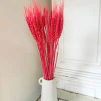 Dried Wheat