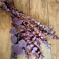 Loose Mix Greenery Stem Set - Ruby