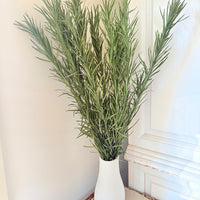 Naturally Dried Emu Grass - natural dusty green