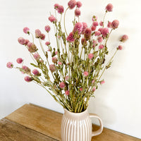 Naturally Dried  Strawberry Fields / Gomphrena Globasa