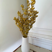 深色保鲜补血草 | 薄雾 | 海薰衣草