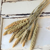 Dried Setaria / Foxtail Millet