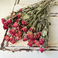Naturally Dried Spray Rose