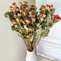 Naturally Dried Spray Rose