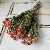 Naturally Dried Spray Rose