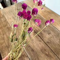 Naturally Dried  Strawberry Fields / Gomphrena Globasa