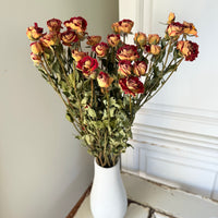Naturally Dried Spray Rose
