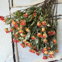 Naturally Dried Spray Rose