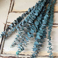 Preserved Eucalyptus / Gum