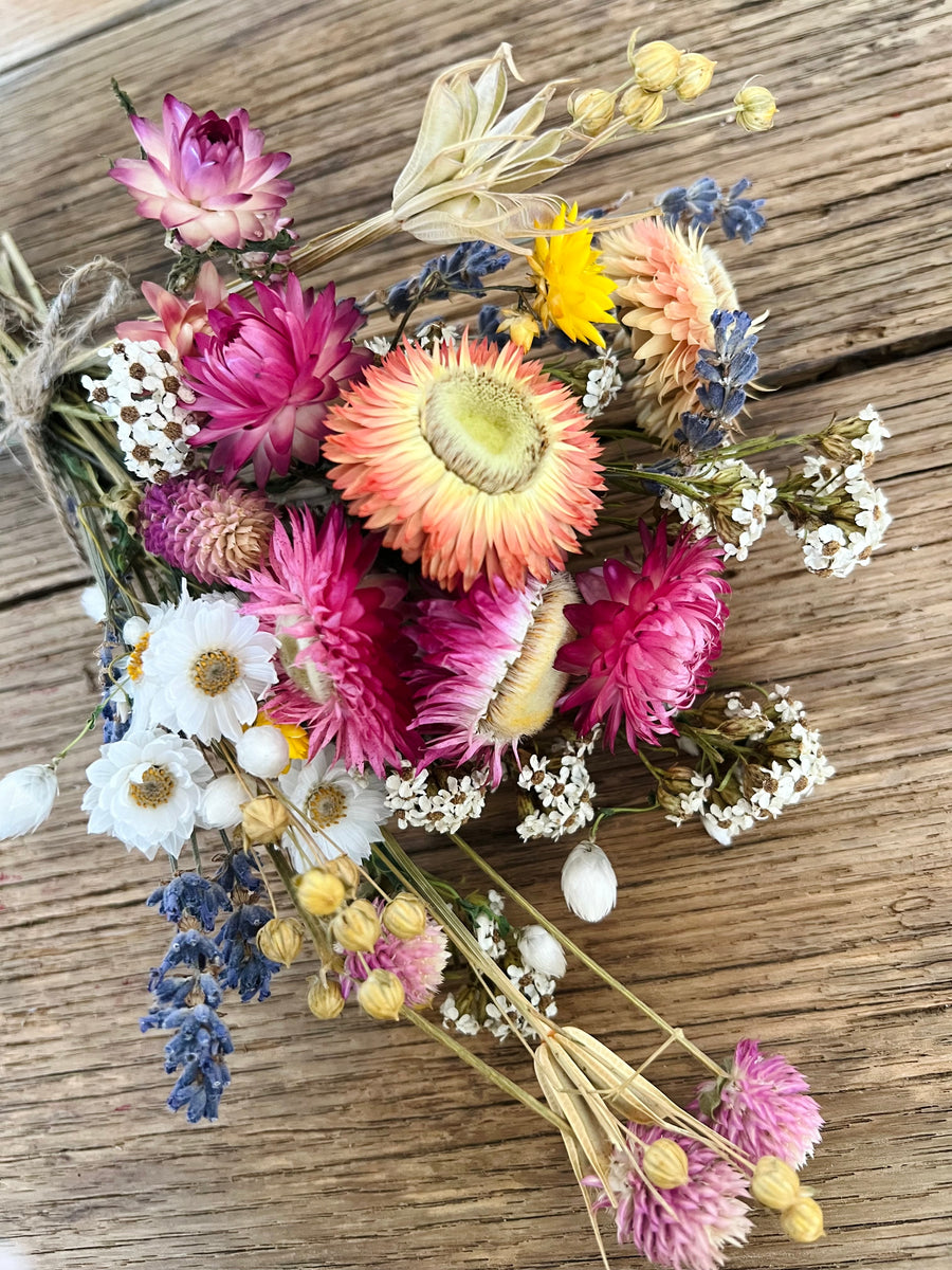 Nature's Delight Everlasting Bouquet [Mini/SM/M] colourful