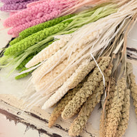 Dried Setaria / Foxtail Millet