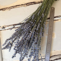 Naturally Dried Lavender bunch - blue purple