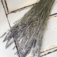 Dried Lavender bunch - blue purple