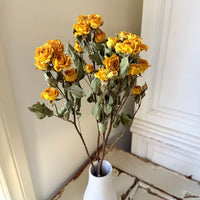 Dried Spray Mini Rose