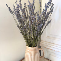 Naturally Dried Lavender bunch - blue purple
