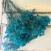 Preserved Crystal Grass / Caspea