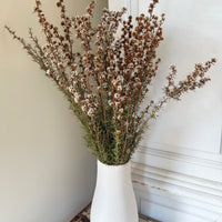 Naturally Dried Ti Tree / Tea Tree - green white