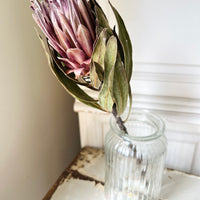 Naturally Dried Banksia & King Protea & Protea - Australian Native