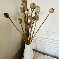 Naturally Dried Poppy Pods / Papaver - natural brown